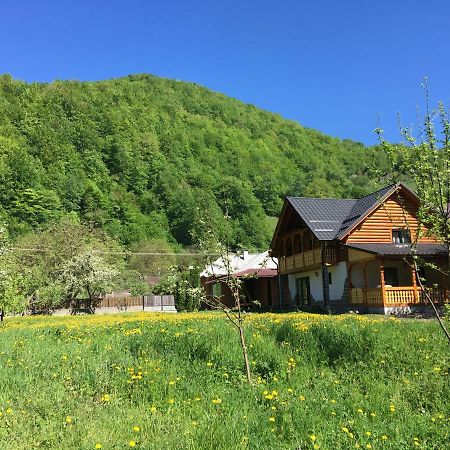 Casa Nova Villa Vişeu de Sus Екстериор снимка