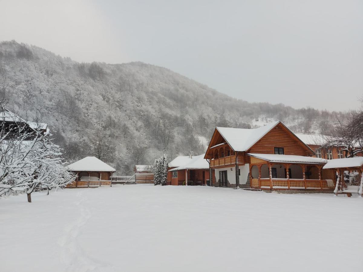Casa Nova Villa Vişeu de Sus Екстериор снимка