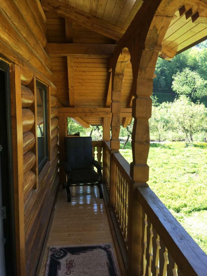 Casa Nova Villa Vişeu de Sus Екстериор снимка