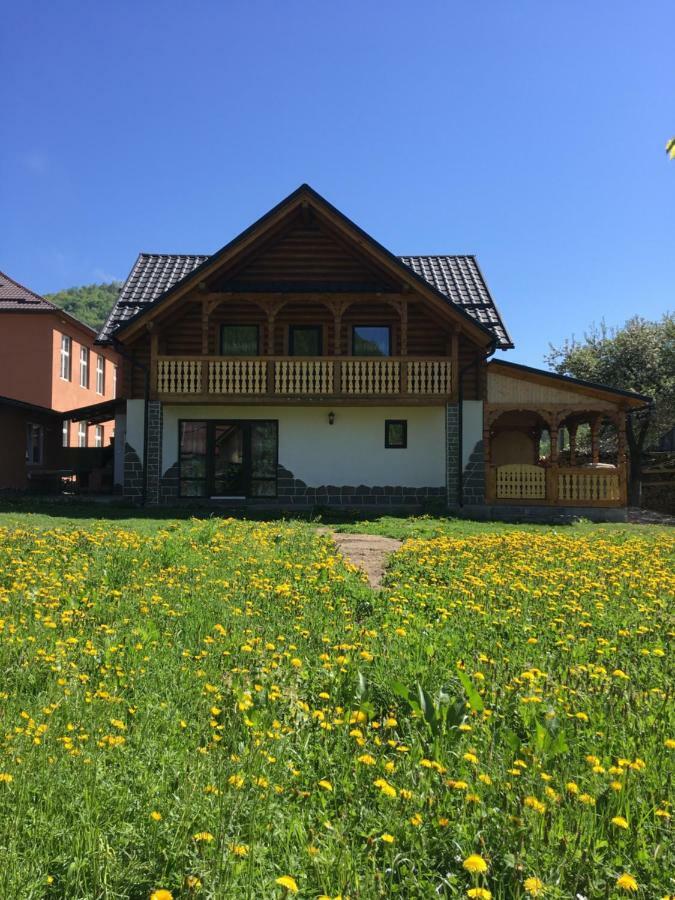Casa Nova Villa Vişeu de Sus Екстериор снимка