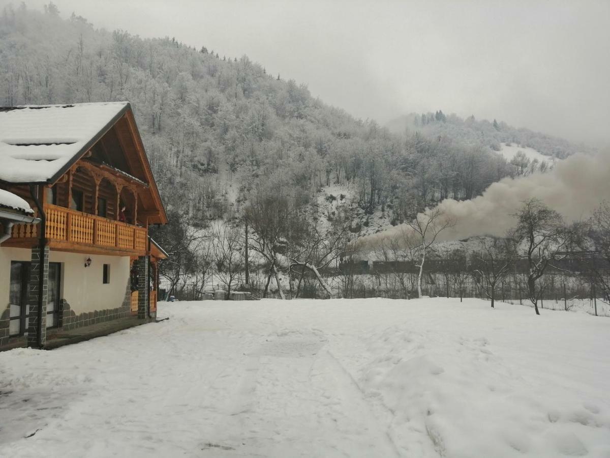 Casa Nova Villa Vişeu de Sus Екстериор снимка
