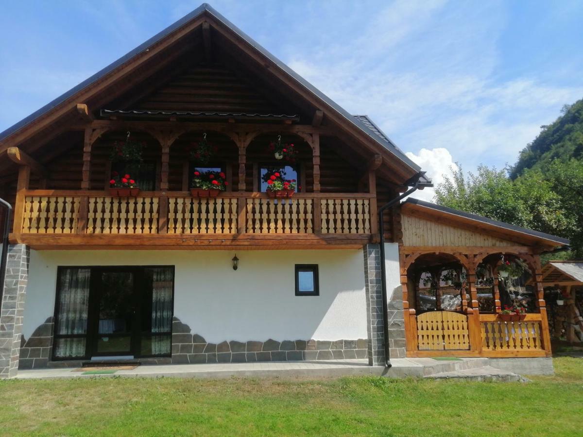 Casa Nova Villa Vişeu de Sus Екстериор снимка
